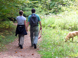 hiking