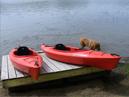 Kayak