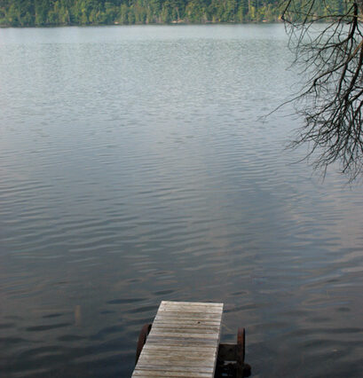 Cabin 6: Moose - Private dock